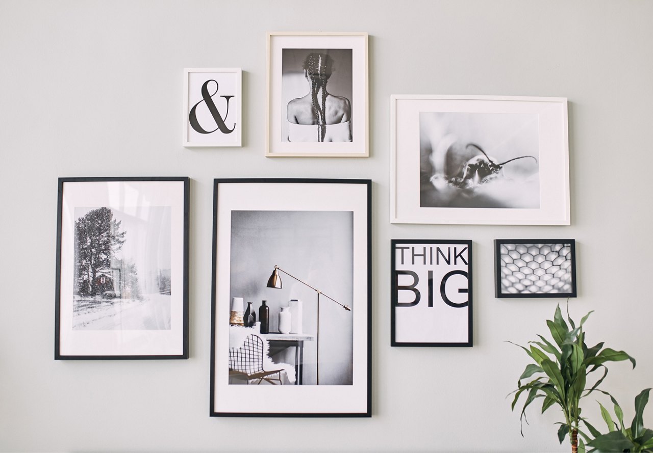 A gallery wall of various framed artwork including photography and typography, with a plant in the foreground.
