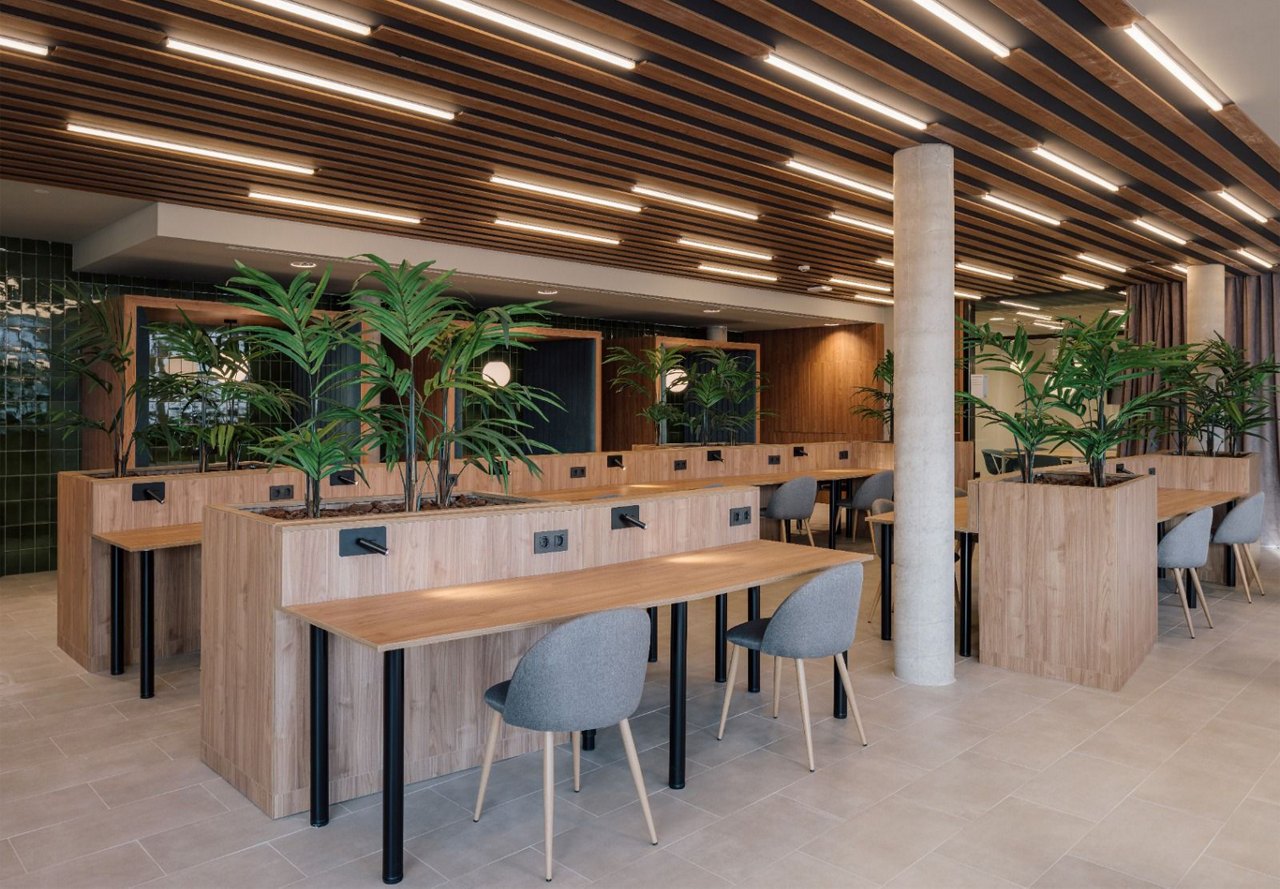 Modern co-working space with individual wooden desks, grey chairs, potted plants, and warm overhead lighting.