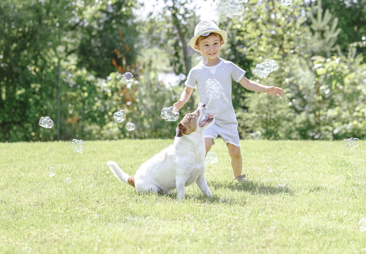 Little boy in neutral clothes playing in the yard with a puppy, surrounded by bubbles floating around and nature in the background.