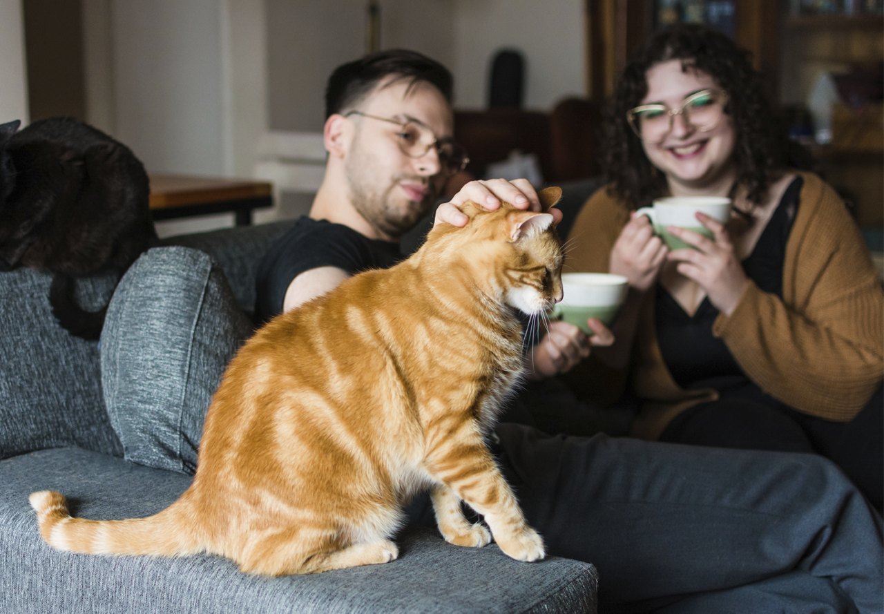 Young couple, both wearing glasses, sitting on the couch enjoying cups of coffee while spending time with their house cat.