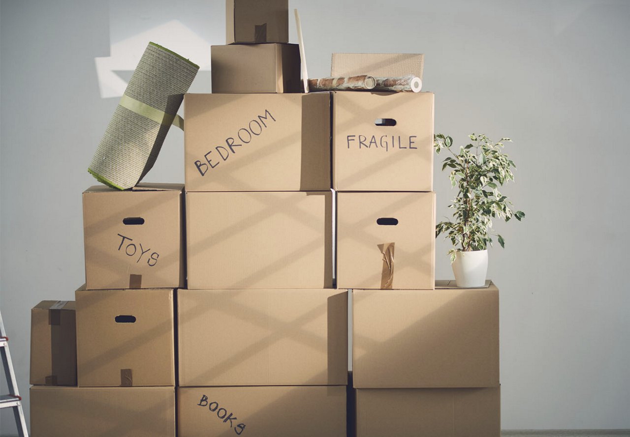 A stack of labeled moving boxes against an apartment wall, illuminated by sunlight streaming through the window, as they await being transported to a new home.