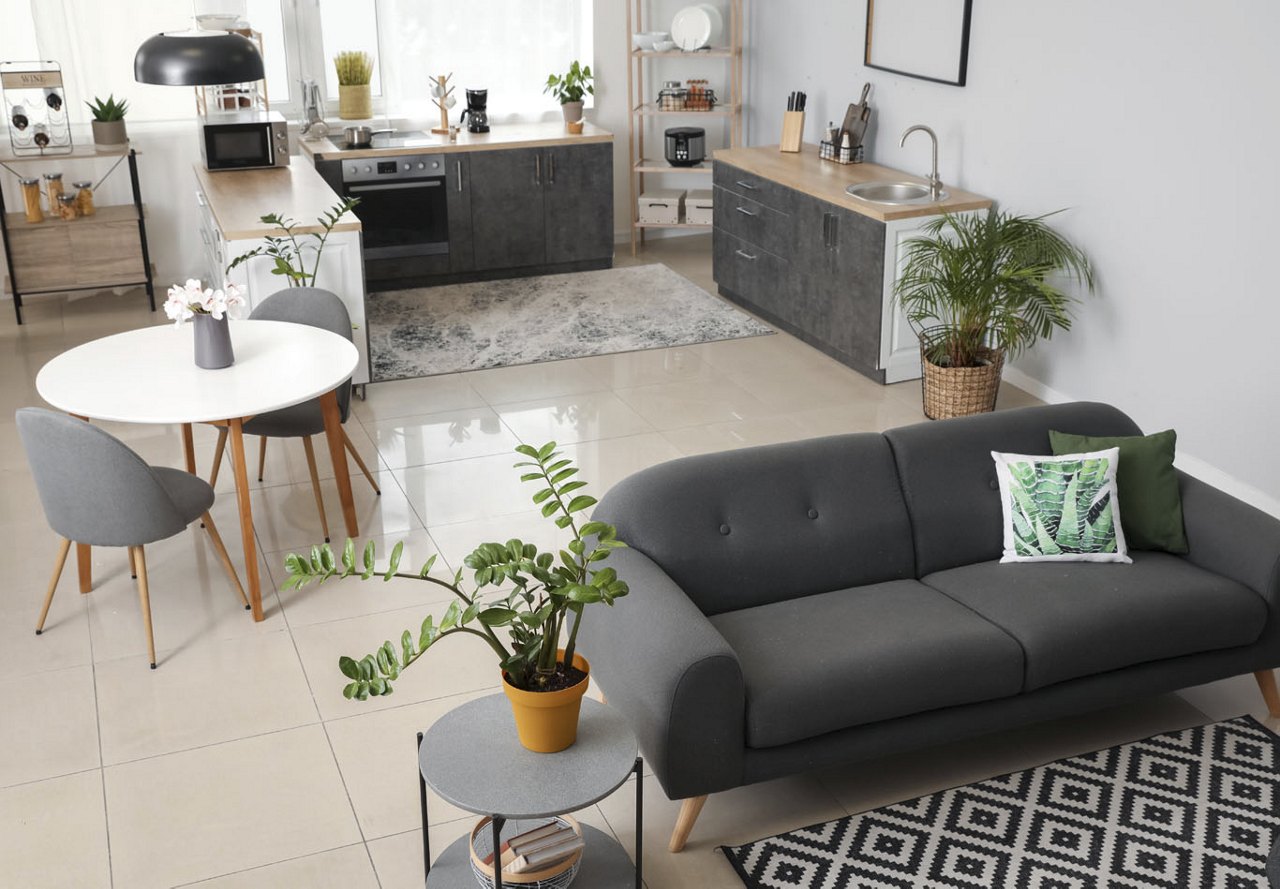 A studio apartment with an open layout, featuring a view of the kitchen and living area separated by a couch, with modern decor and indoor plants adding a touch of style and greenery to the space.