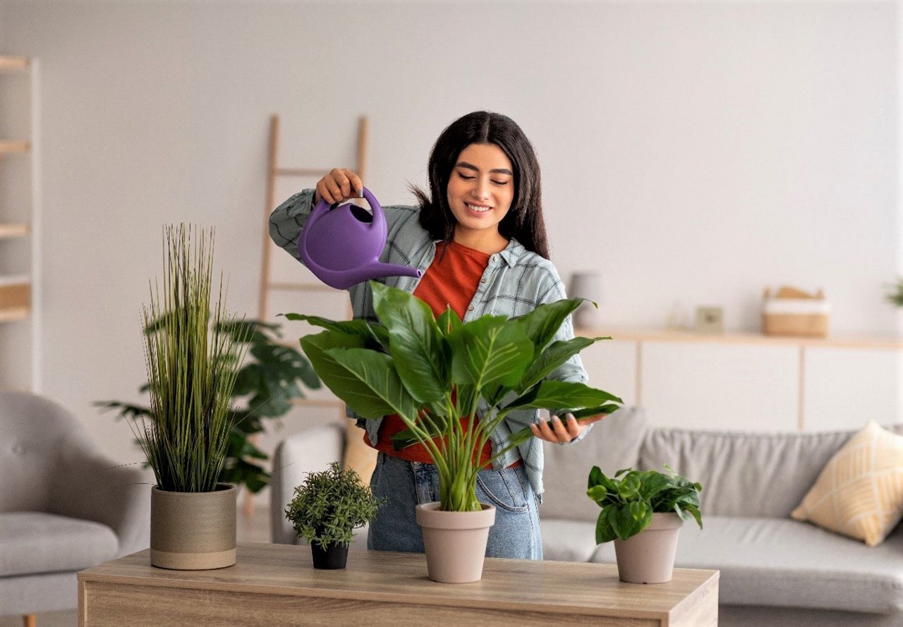 A smiling woman watering indoor plants in a living room setting.