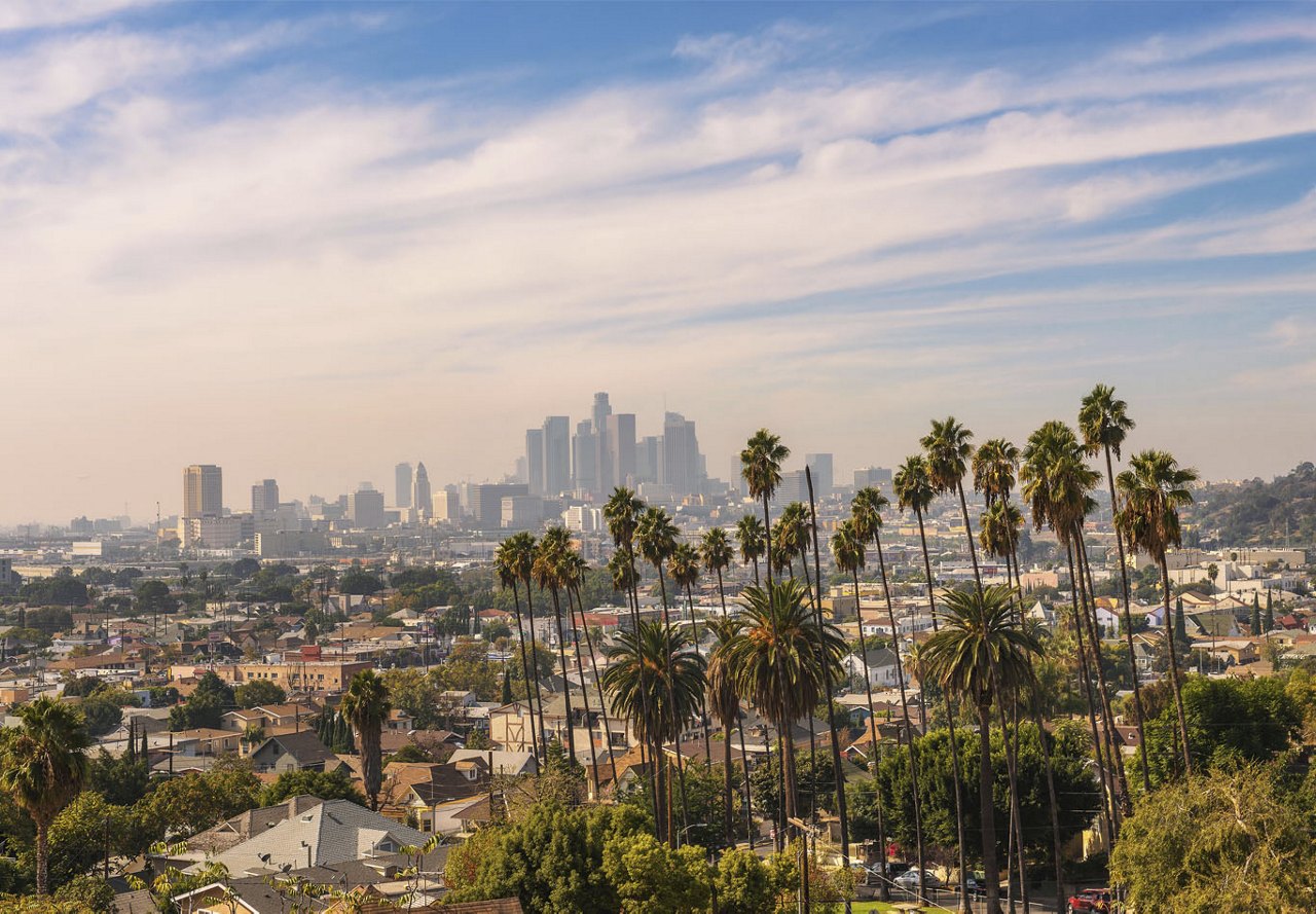 Scenic view of Los Angeles, California, with lush palm trees in the foreground and the iconic cityscape in the background, under a vast blue sky.