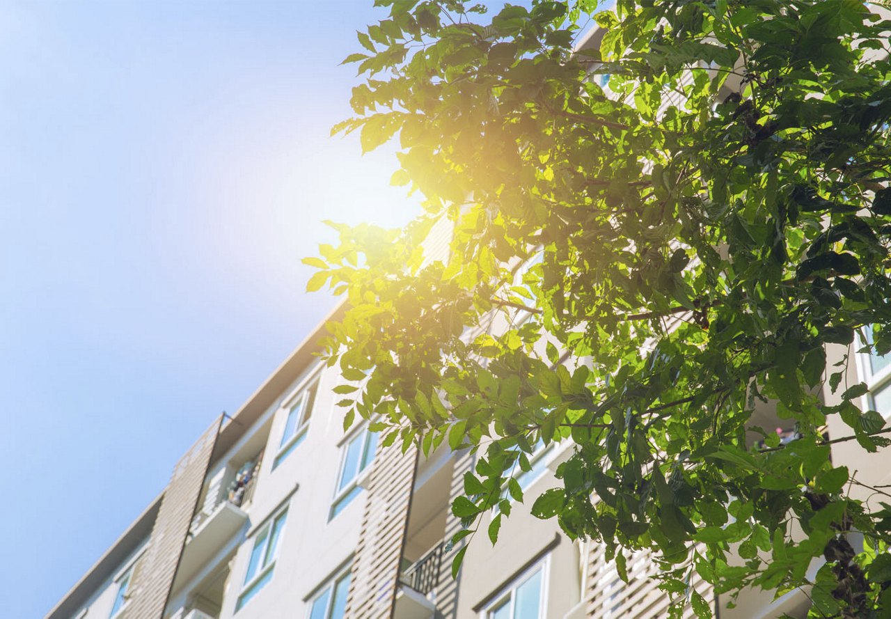 A ground-level view of an apartment building, looking up toward the sky with the sun peeking through, while a tree on the right side of the photo partially overlaps with the sunlight.