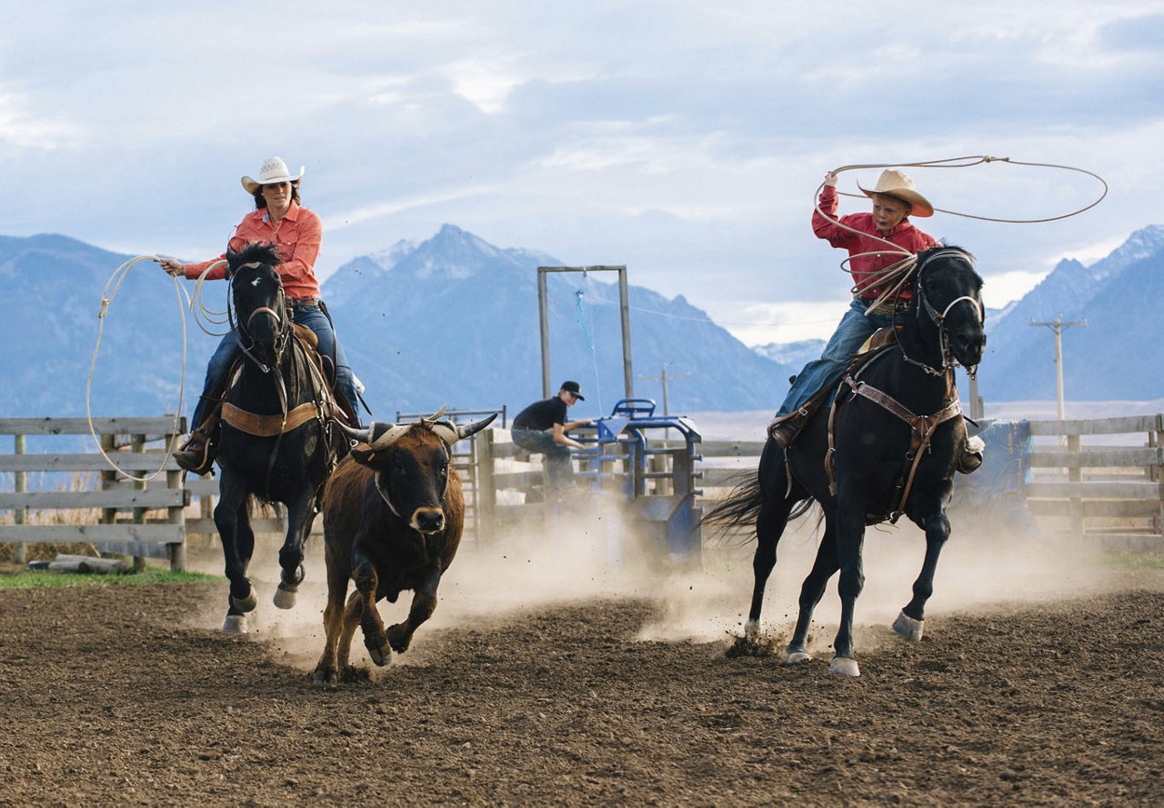 A man and woman wearing cowboy hats at a rodeo, riding horseback as they chase after a cow to rope it.