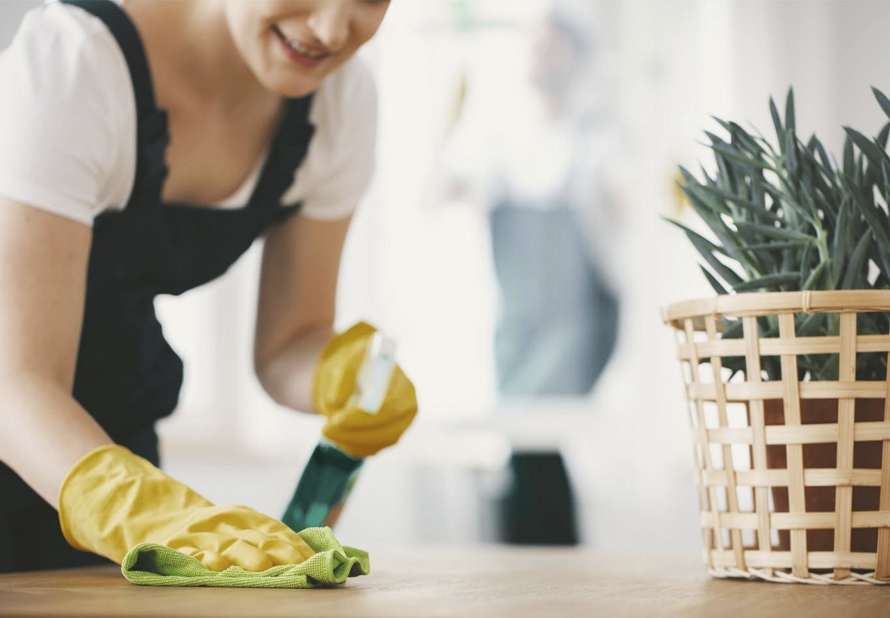 A woman wearing yellow gloves, spraying and wiping surfaces to clean the counters in her home, with a plant on the table as décor and a blurred background.