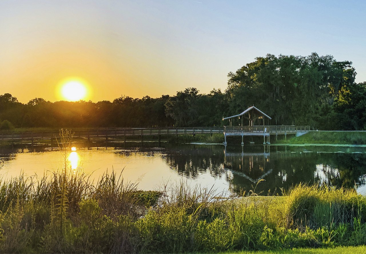 Sunset view of a coastal area in Gainesville, Florida, with lush greenery along the water's edge and a small dock visible in the distance.