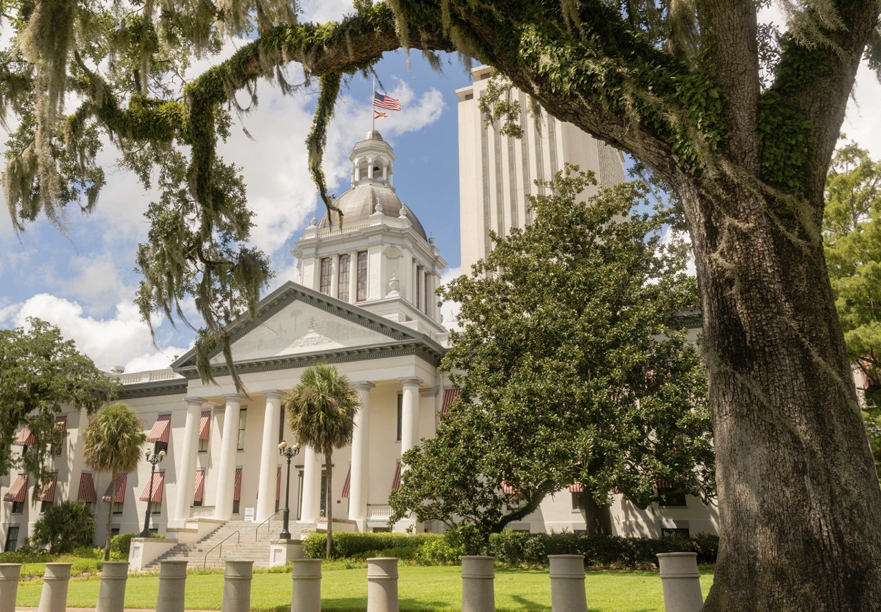 Government building in Tallahassee, Florida, with trees in front and an American flag waving on top of the building.