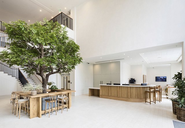 Interior view of the Greenford Quay lobby, featuring a tree, white modern finishes, and natural design elements creating a welcoming atmosphere.