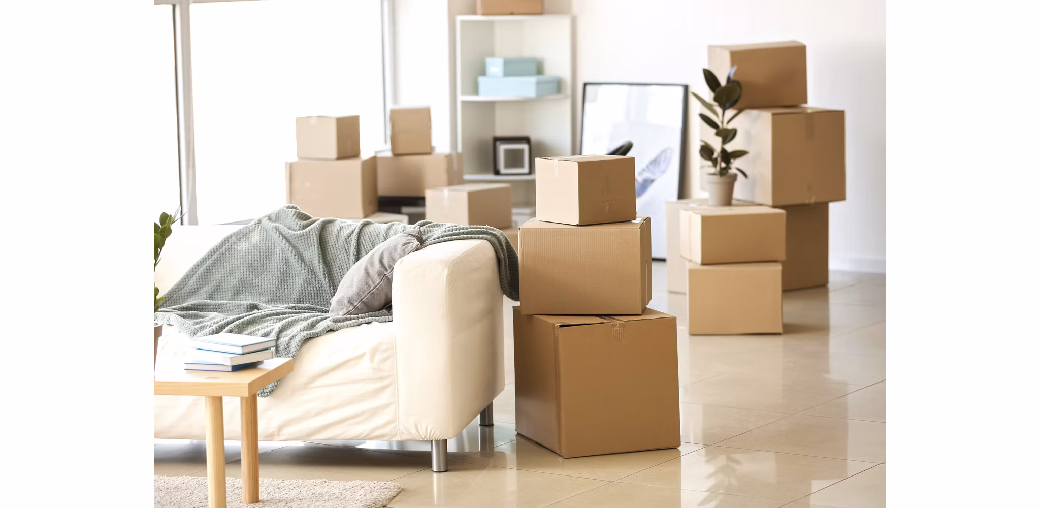 A view of an apartment filled with boxes as preparations for a move are underway, with some furniture and decor still in place amidst the packing process.