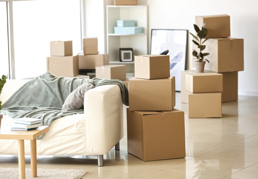 A view of an apartment filled with boxes as preparations for a move are underway, with some furniture and decor still in place amidst the packing process.