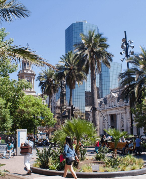 Urban park scene with tall palm trees and people, with a modern glass building in the background, under a clear blue sky.