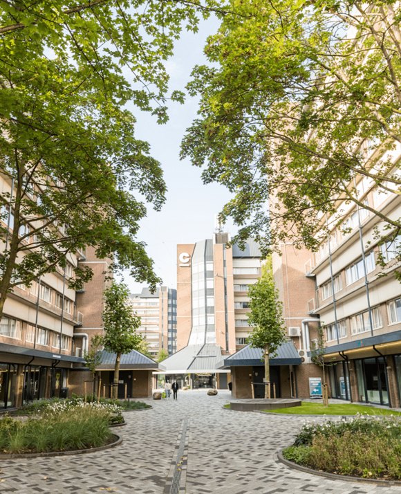 Pedestrian pathway flanked by modern apartment buildings with retail spaces on the ground floor, shaded by green trees in an urban setting.