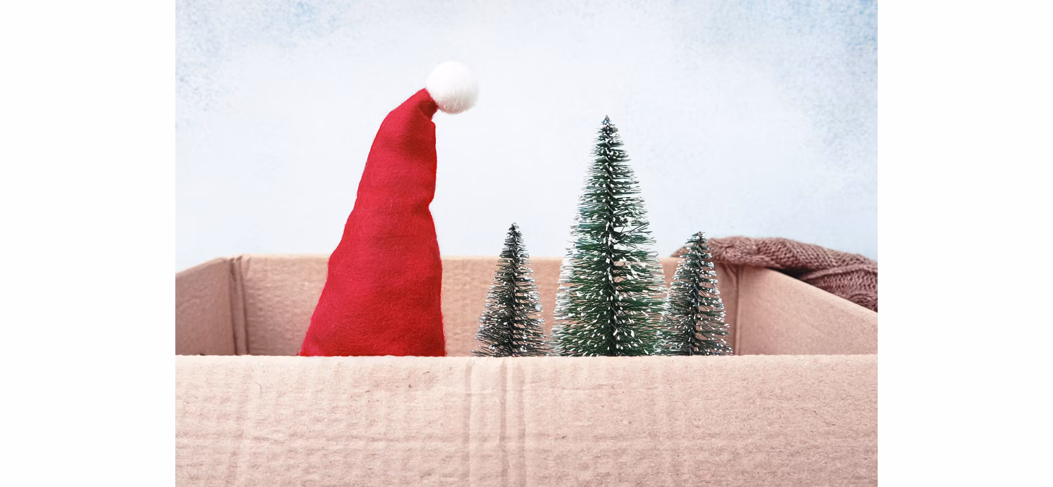 Christmas Decorations Sitting in Box | Blog | Greystar