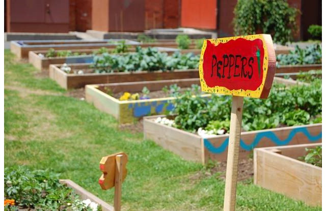 Apartment Community Garden Greystar Blog