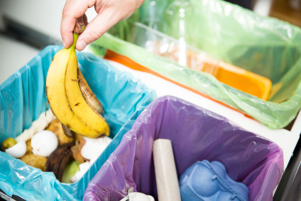 Compost Bin