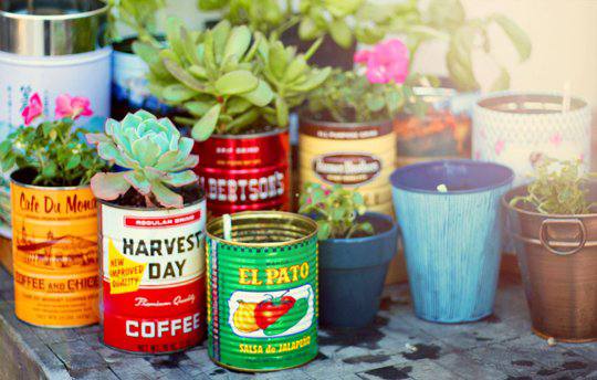 Create a Vintage Tin Herb Garden Greystar Blog