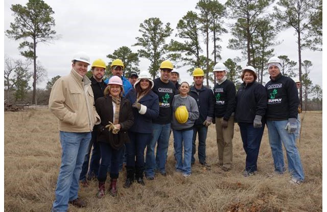 Restoring a Forest Greystar Apartments Greystar Blog