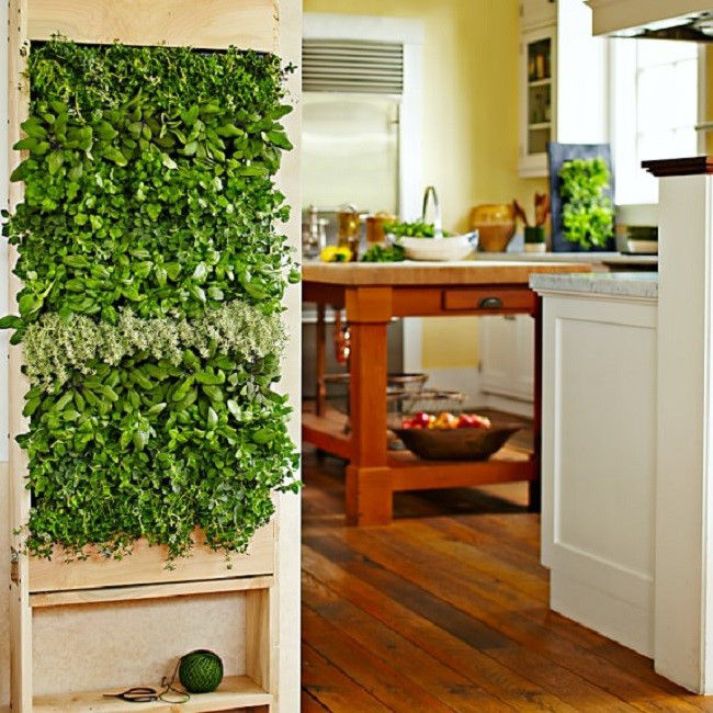green plants air filtration