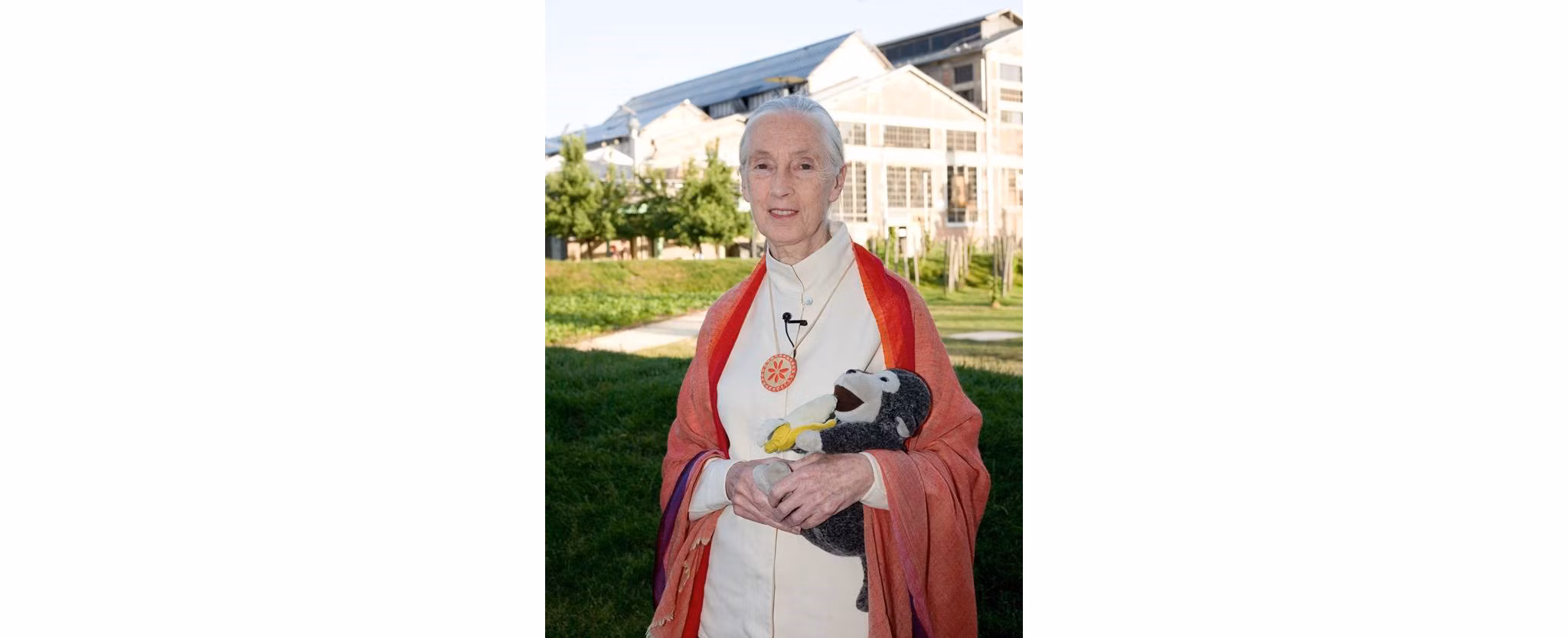 Jane Goodall Greystar Apartments Greystar Blog