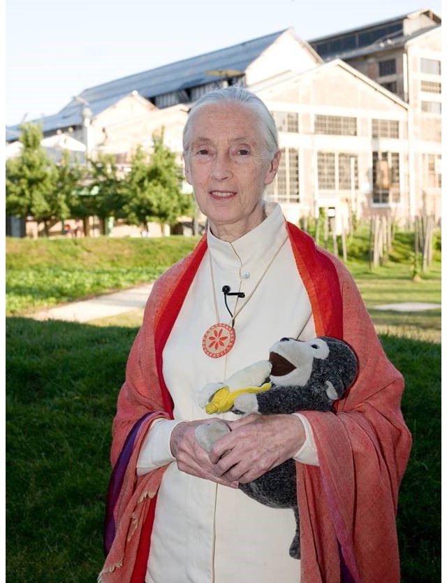 Jane Goodall Greystar Apartments Greystar Blog