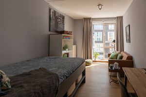 Modern and cozy student accommodation with a bed, study area, and a comfortable seating by the window.