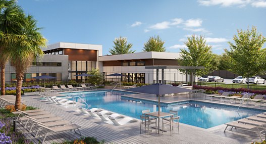 Architectural rendering of a modern housing complex with an outdoor pool, lounge chairs, and lush landscaping under a clear sky.