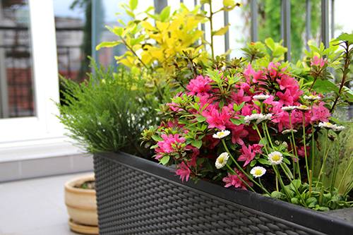 Add a Balcony or Patio Garden to Your Apartment Greystar Blog