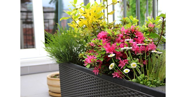 Add a Balcony or Patio Garden to Your Apartment Greystar Blog