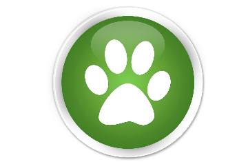 reducing pets#039; carbon print - green pawprint