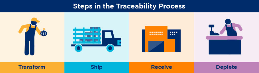 Steps in Traceability process