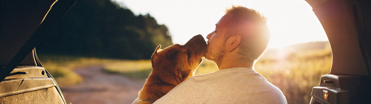 Man and dog in car