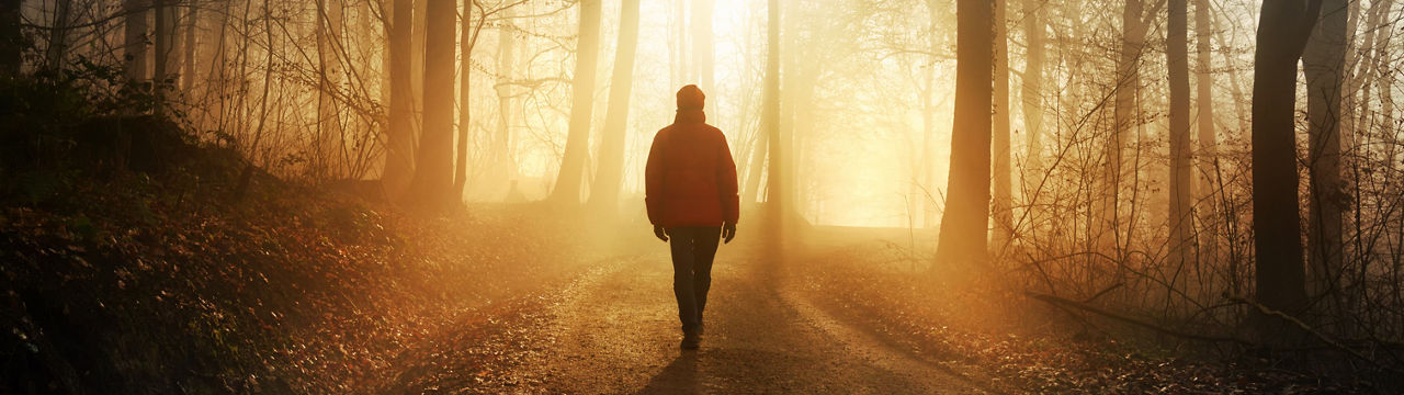 Male hiker walking into the bright gold rays of light in a misty forest, landscape shot with dramatic beautiful lighting mood