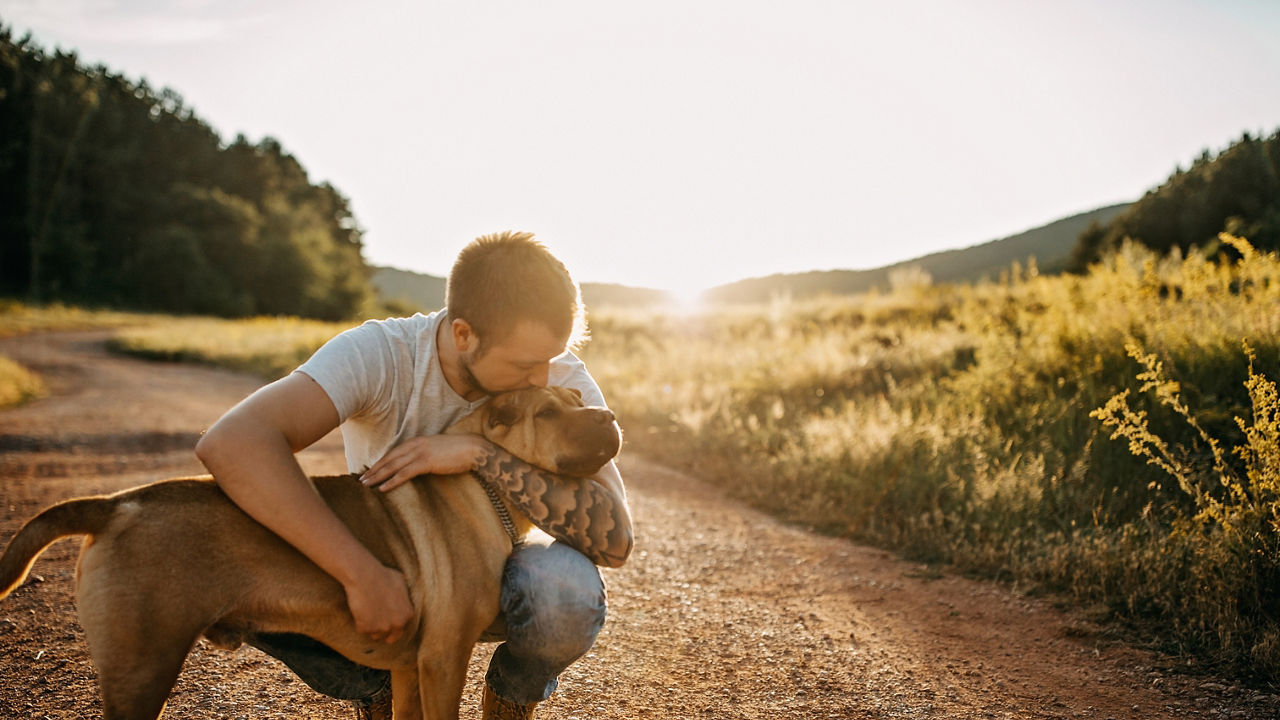 Spending day with dog in nature