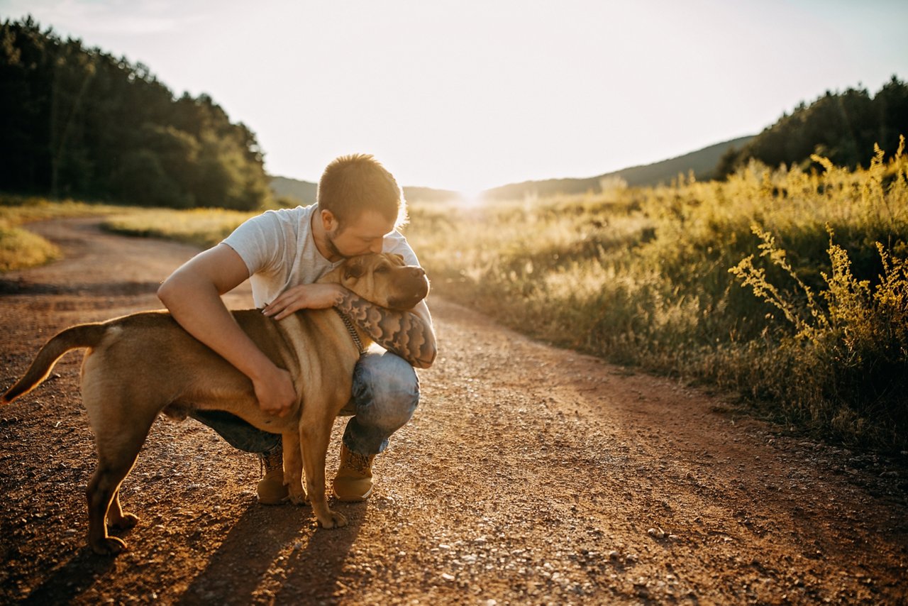 Spending day with dog in nature