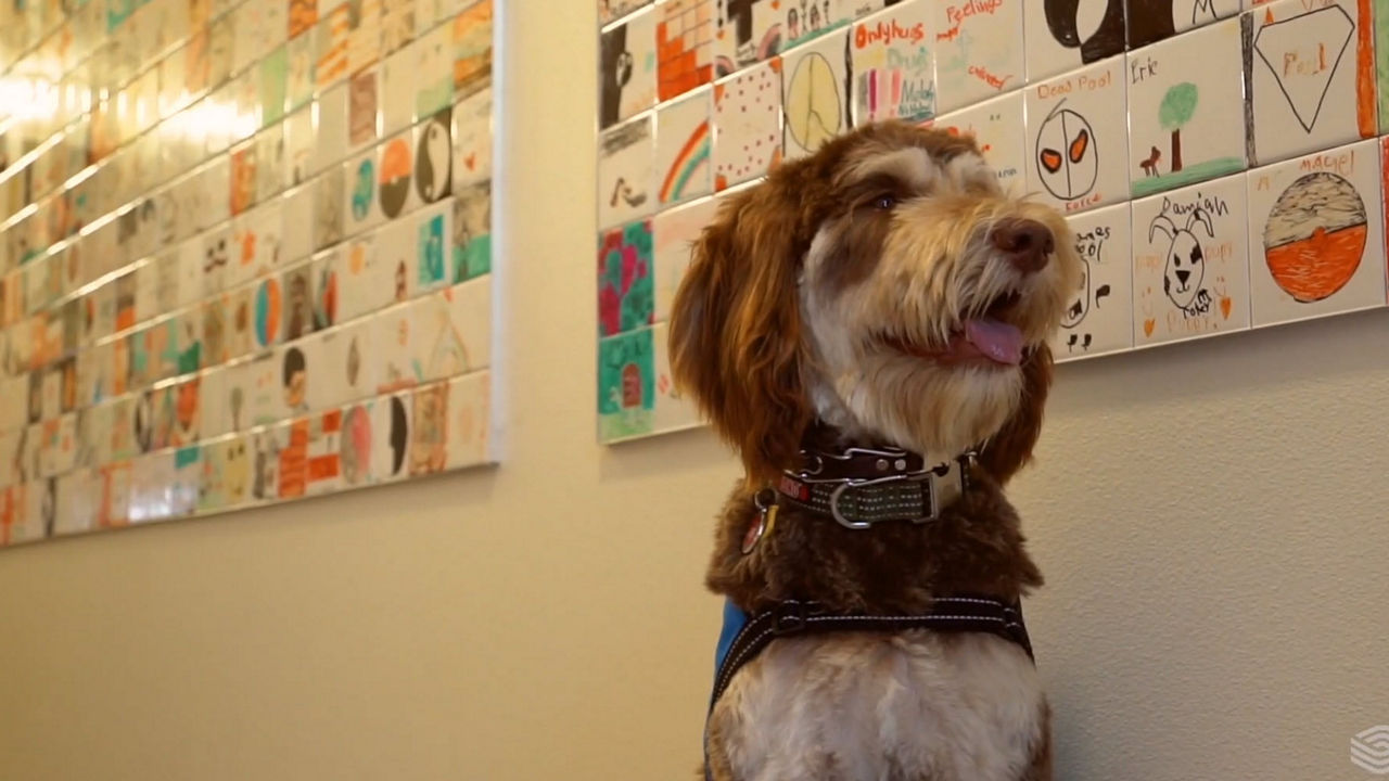 Malcolm - Video Thumbnail