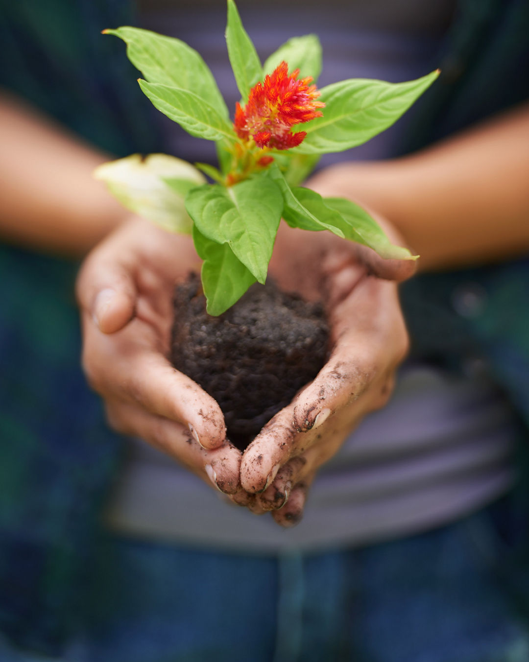 Nurturing the Young Spirit of Nature