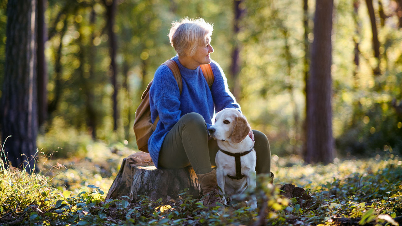 A happy senior woman with dog on a walk outdoors in forest