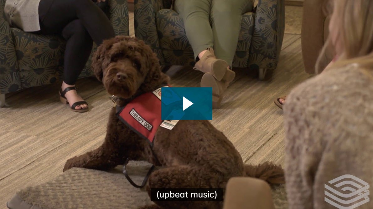 Sarge is an animal-assisted programming dog