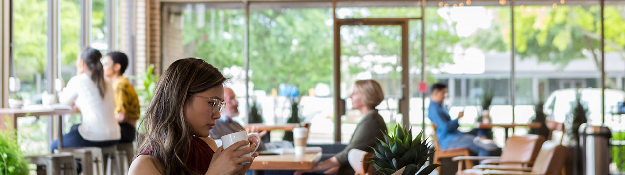 Businesswoman concentrates while reviewing a document on her laptop. She is sitting in a coffee shop.