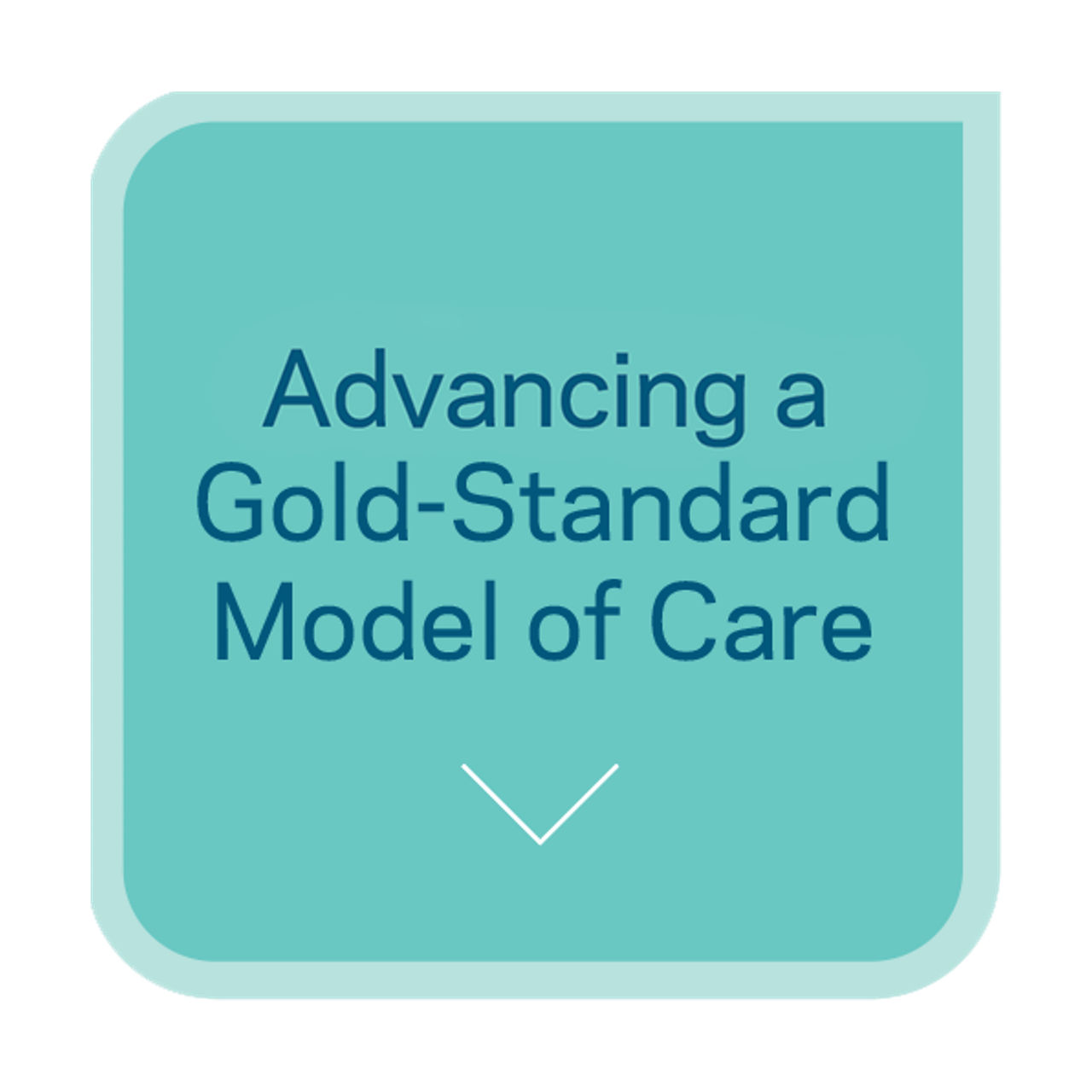 Advancing a Gold-Standard Model of Care