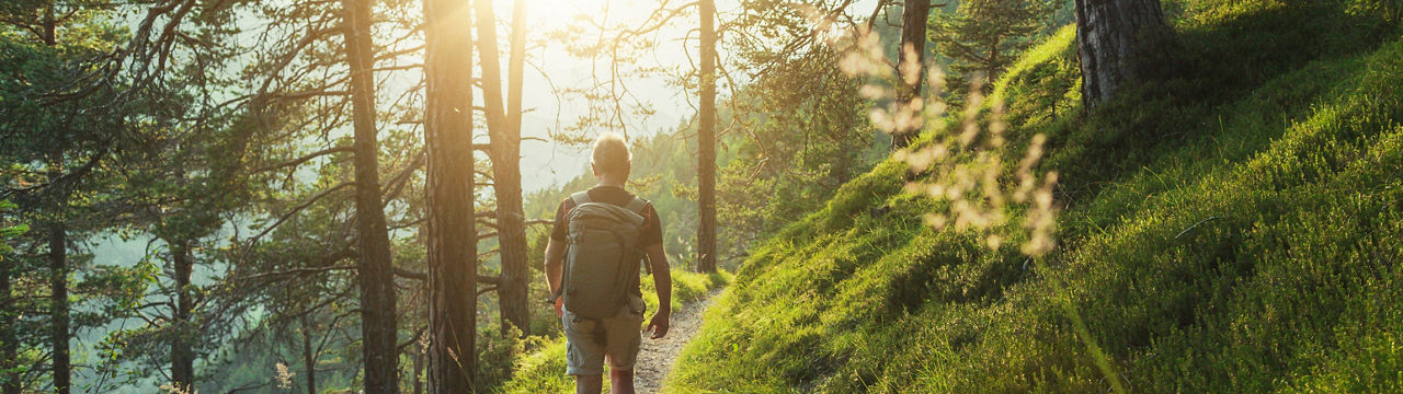 Senior man trail hiking in the forest