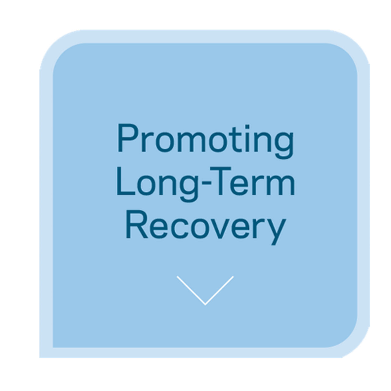 Promoting Long-Term Recovery