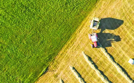 Agriculture with Robust and Reliable Storage Infrastructure