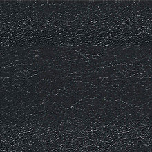 Leather Swatch Teaser