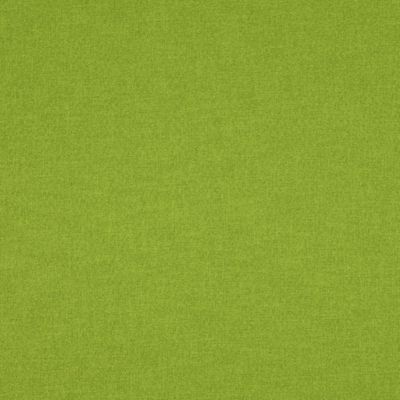 Parakeet