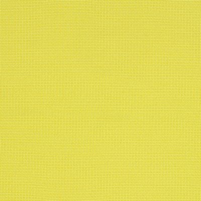 Canary