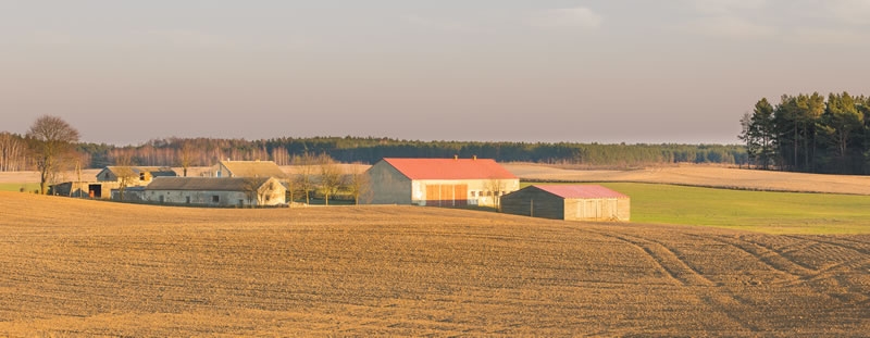 Farmland