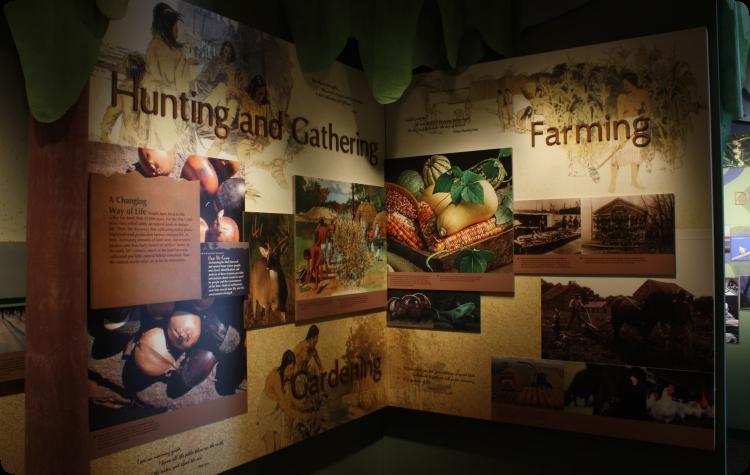 The River Valley Gallery at Dickson Mounds Musem